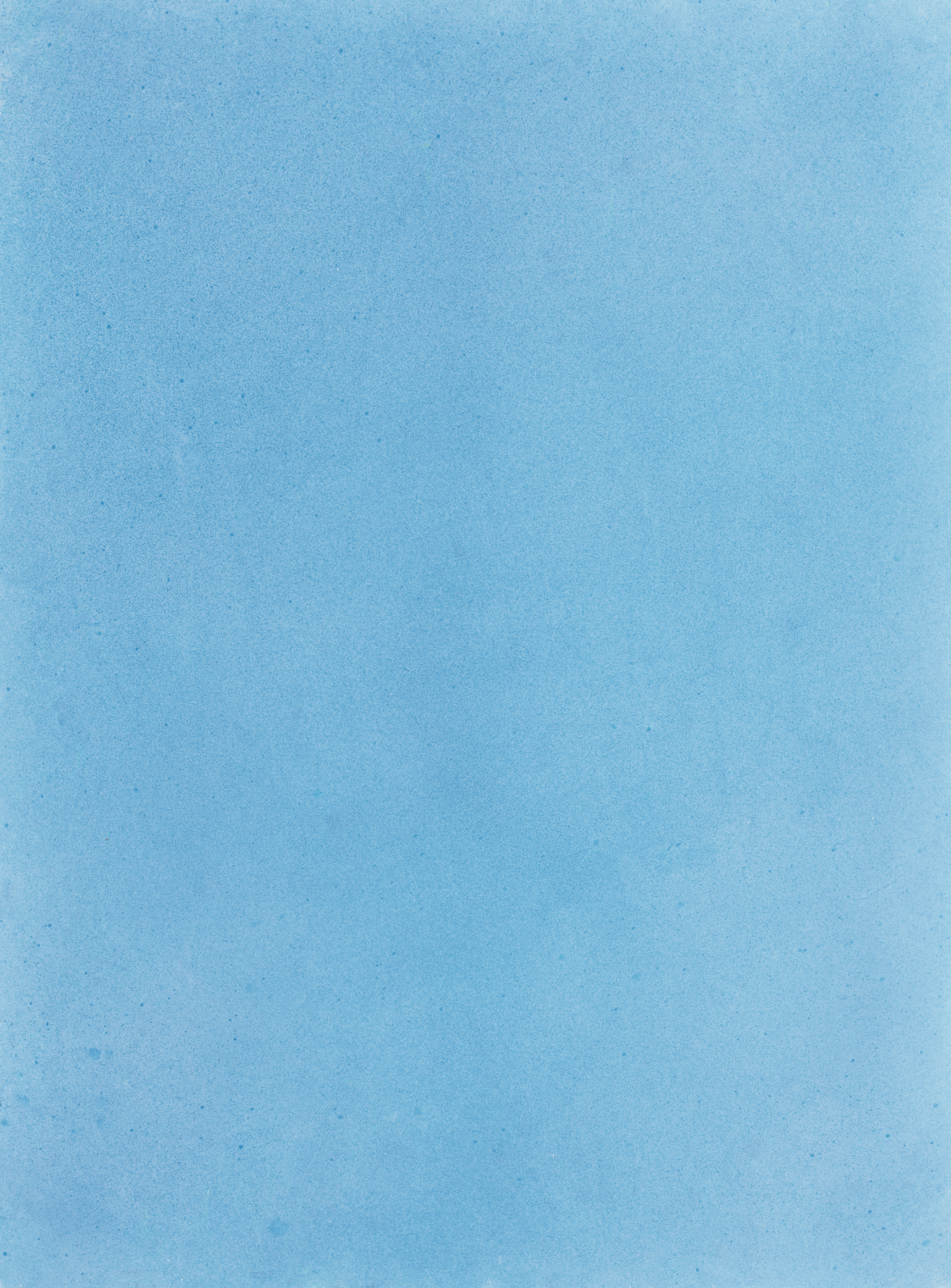 COSITA Vinyl Backdrop - Forget Me Not