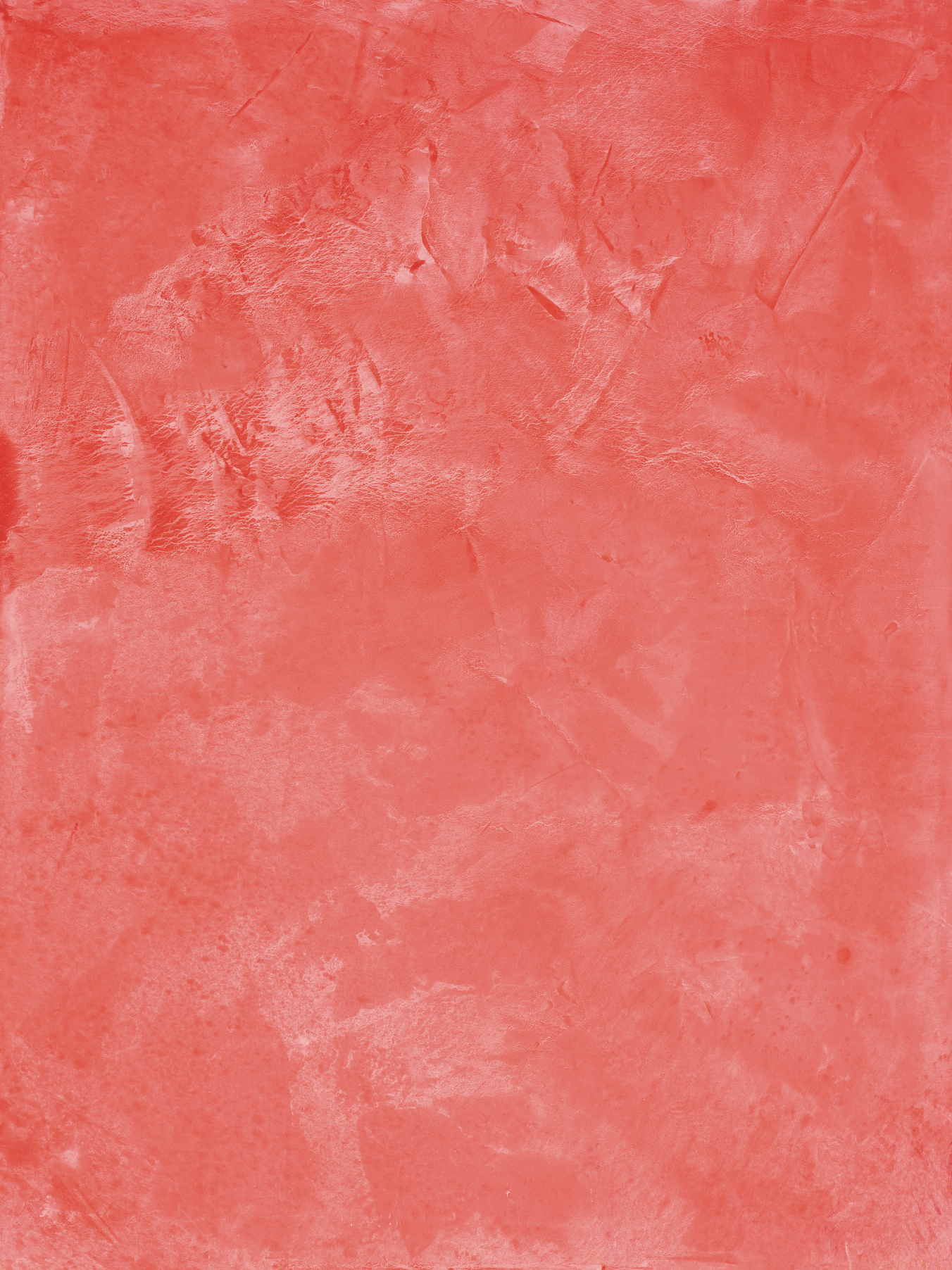 COSITA Vinyl Backdrop - Hibiscus