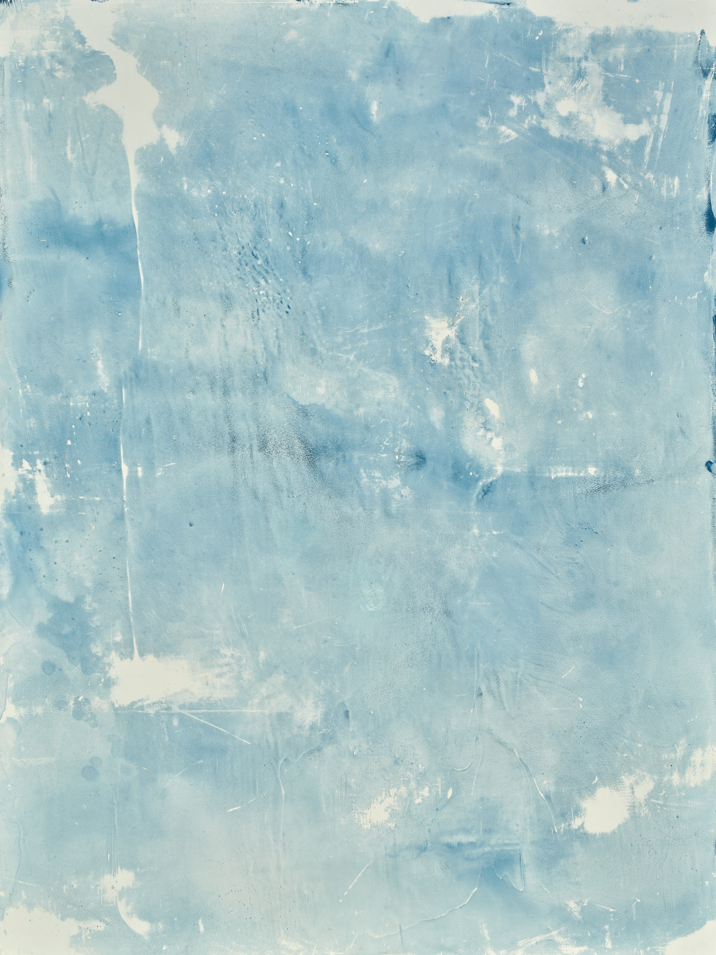 COSITA Vinyl Backdrop - Honolulu