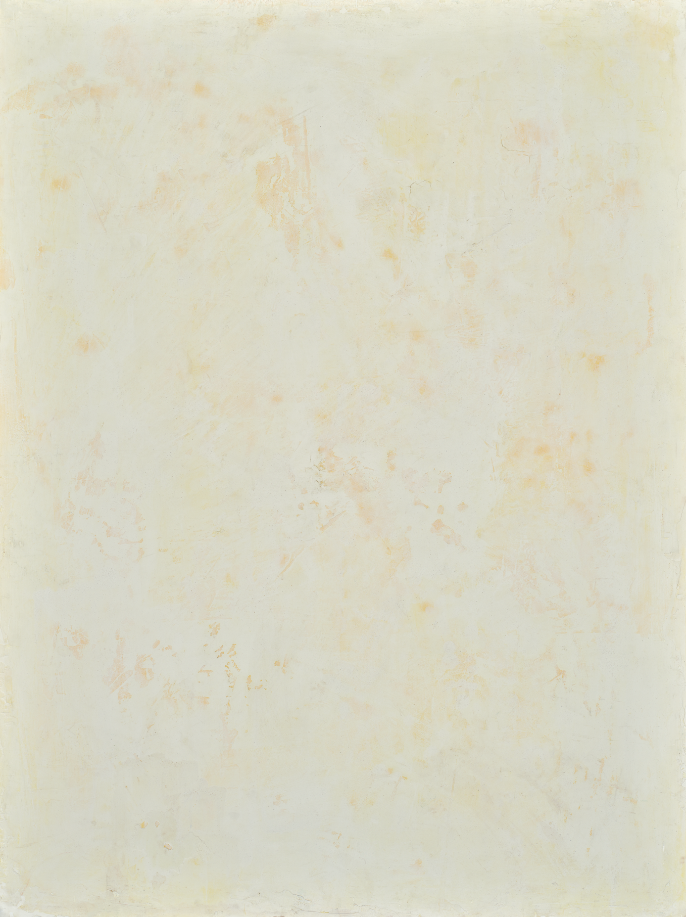 COSITA Vinyl Backdrop - Italian Summer