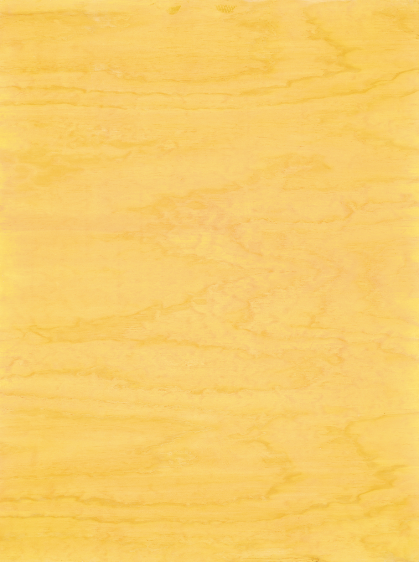 COSITA Vinyl Backdrop - Marigold Magic