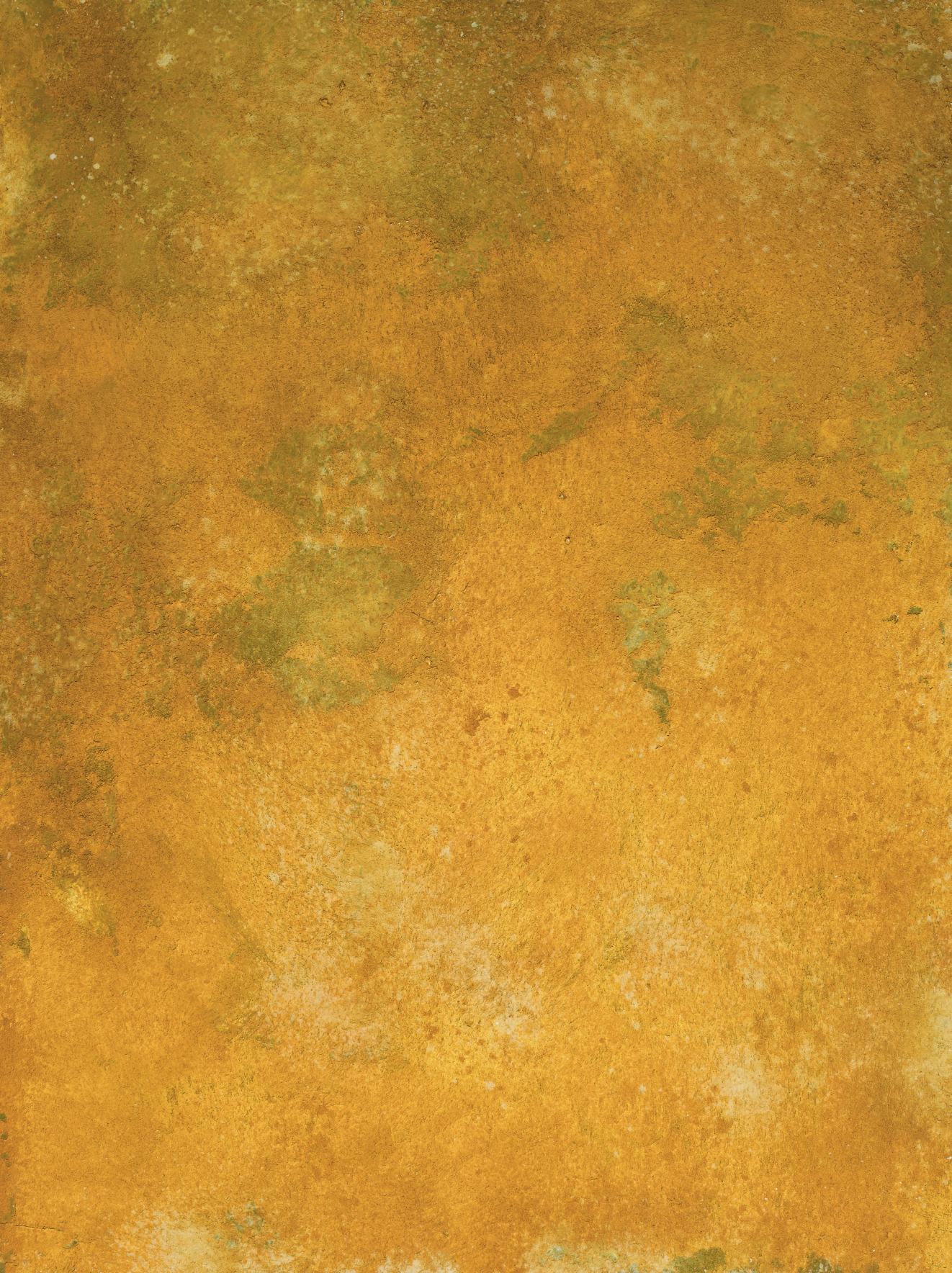 COSITA Vinyl Backdrop - Marrakech