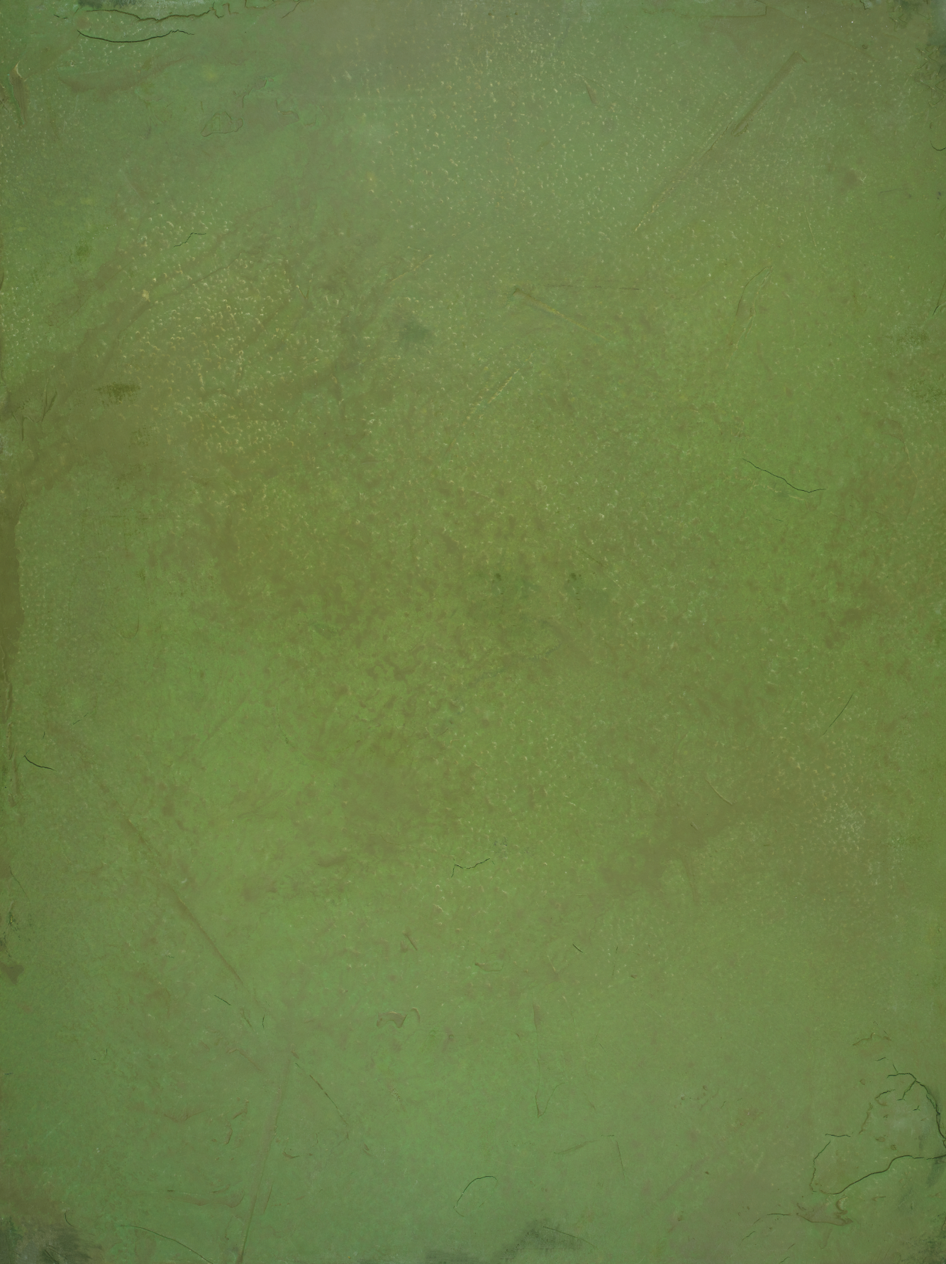 COSITA Vinyl Backdrop - Moss