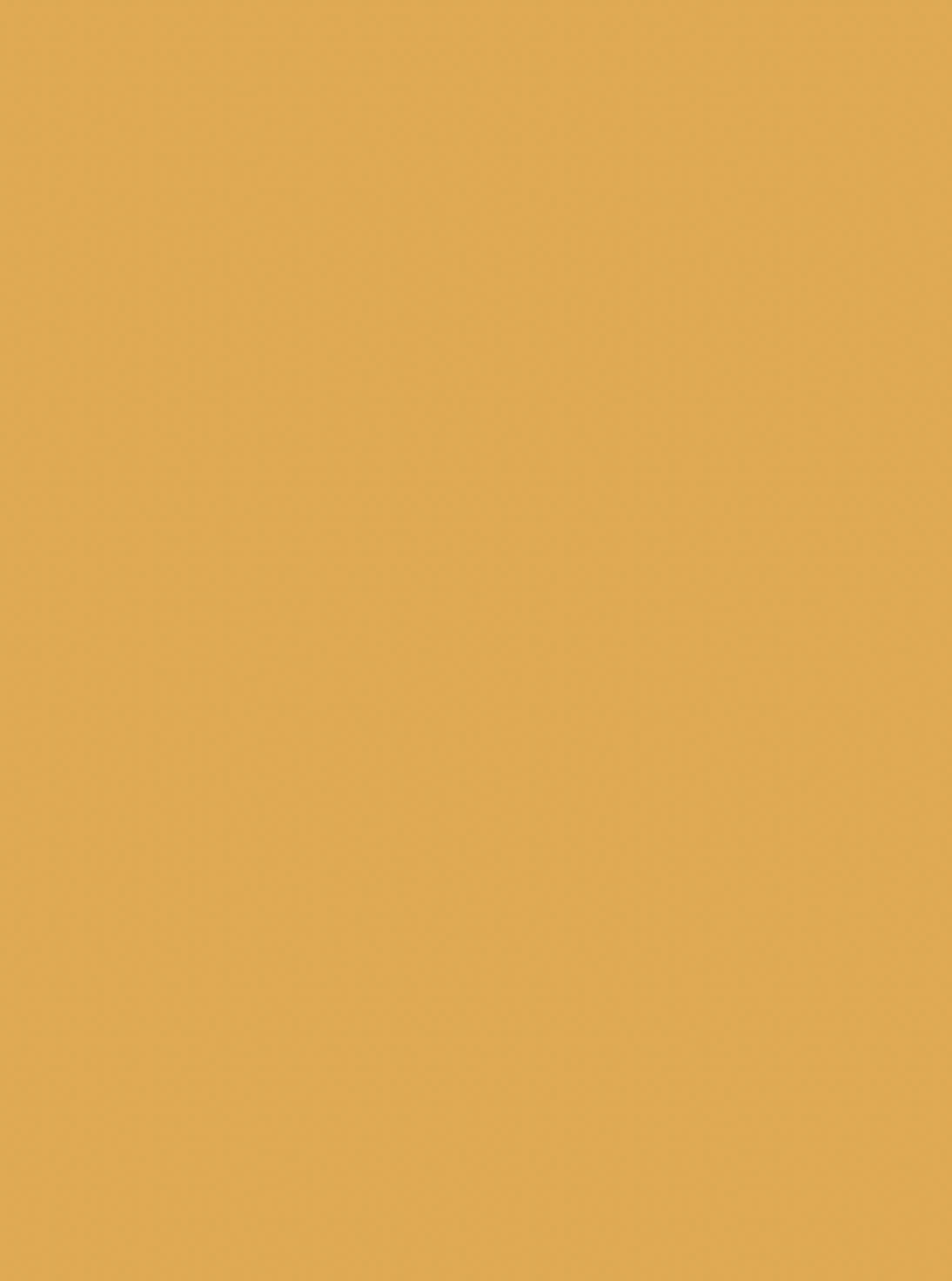 COSITA Vinyl Backdrop - Mustard