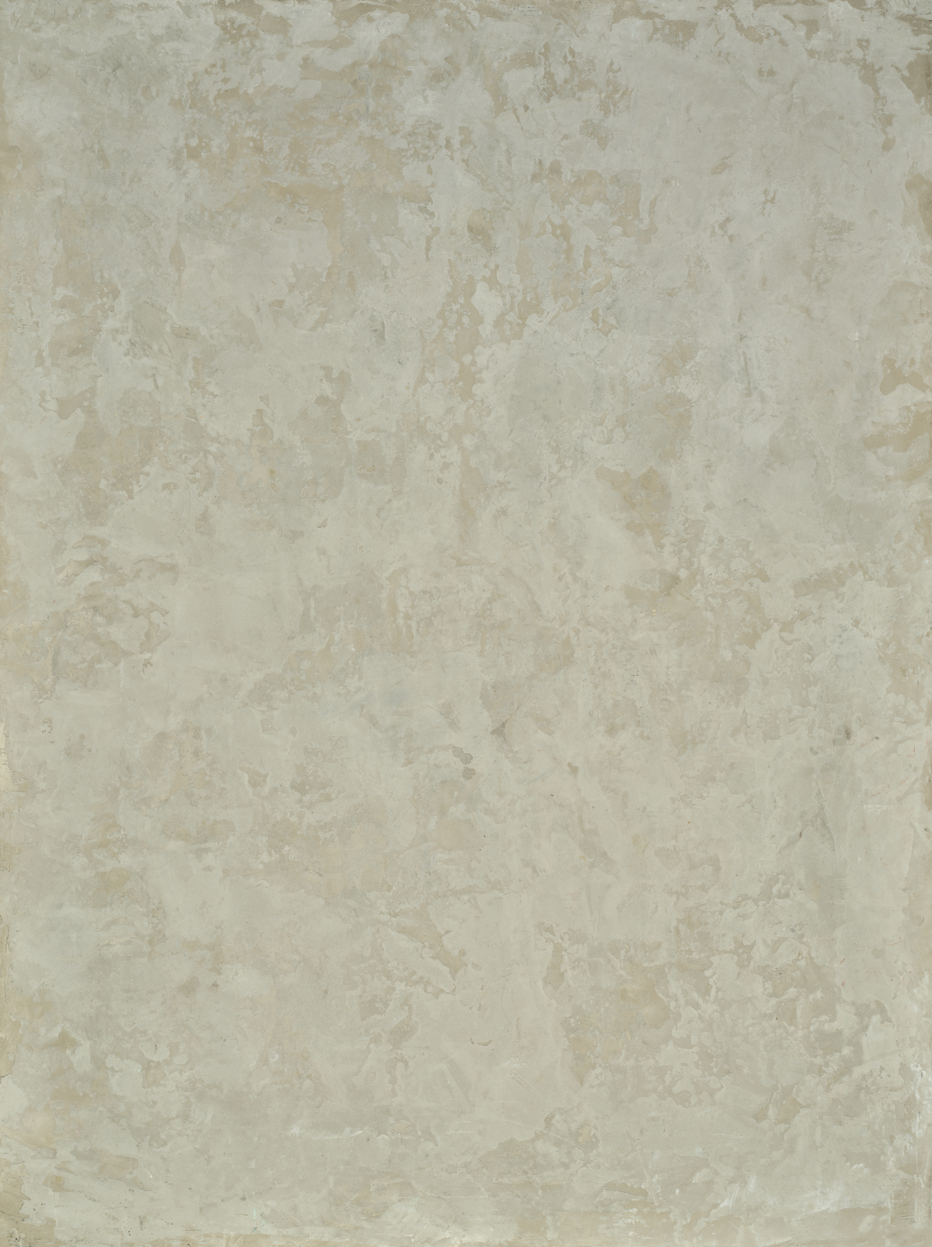 COSITA Vinyl Backdrop - Nudie