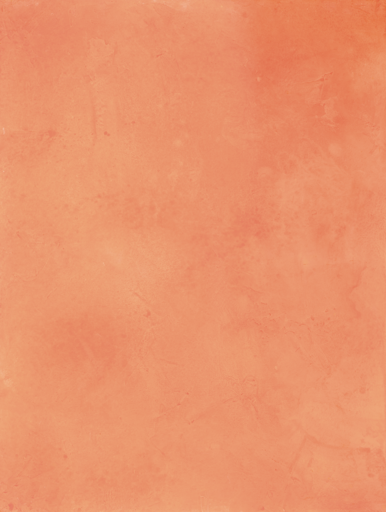 COSITA Vinyl Backdrop - Ocean Drive