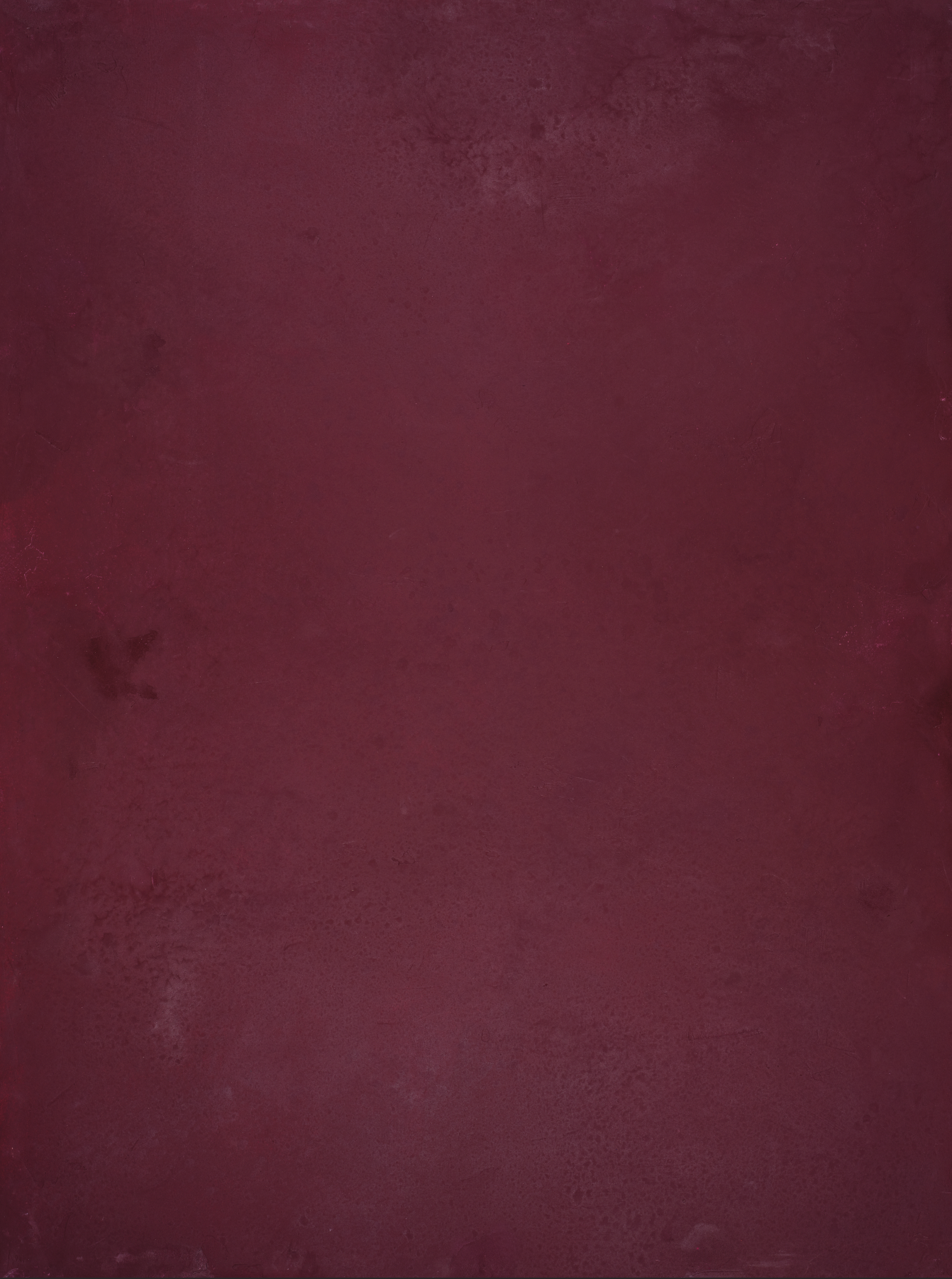 COSITA Vinyl Backdrop - Plum Wine