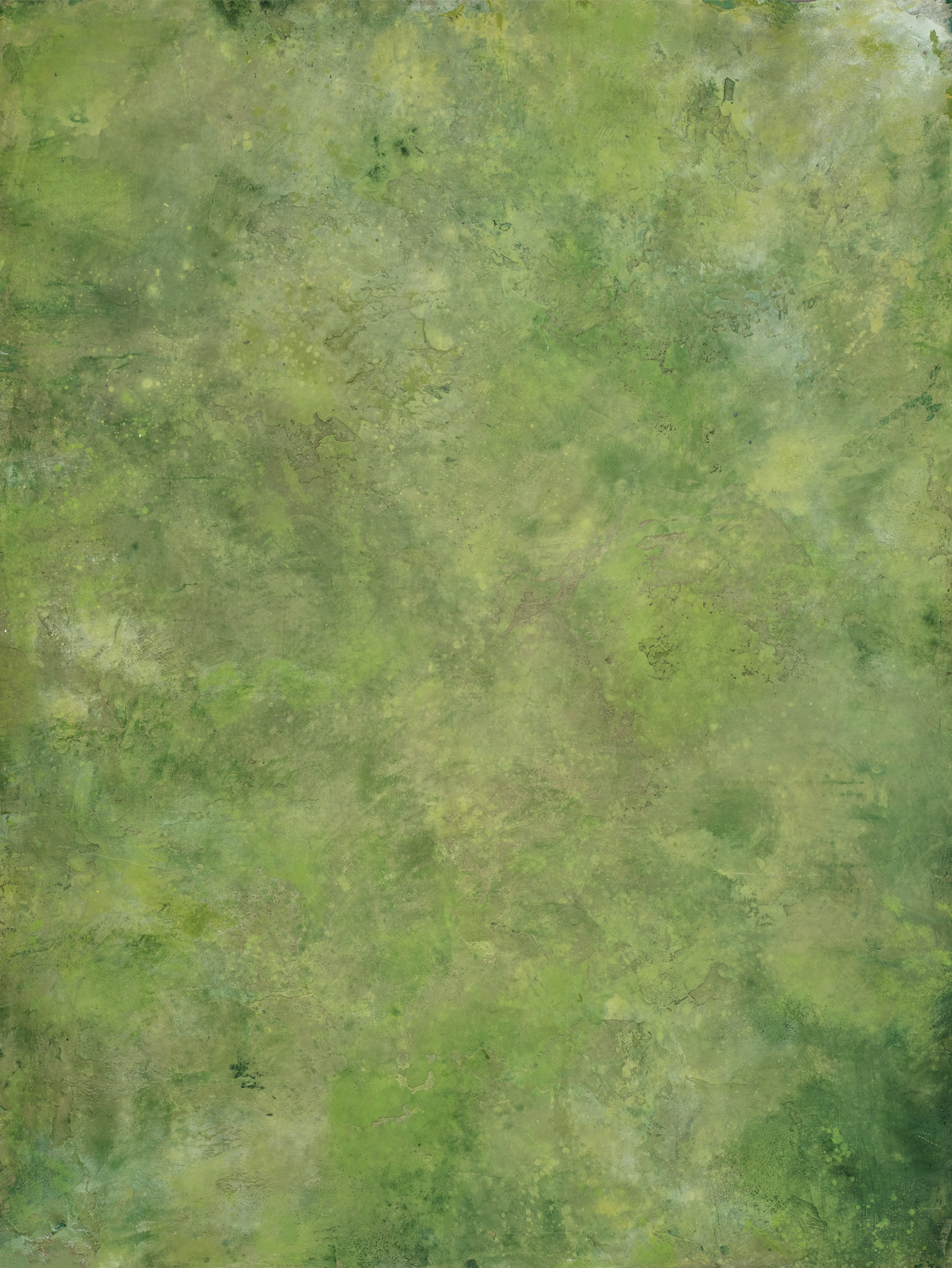 Fondo de vinilo COSITA x Surfacehaus - Prado