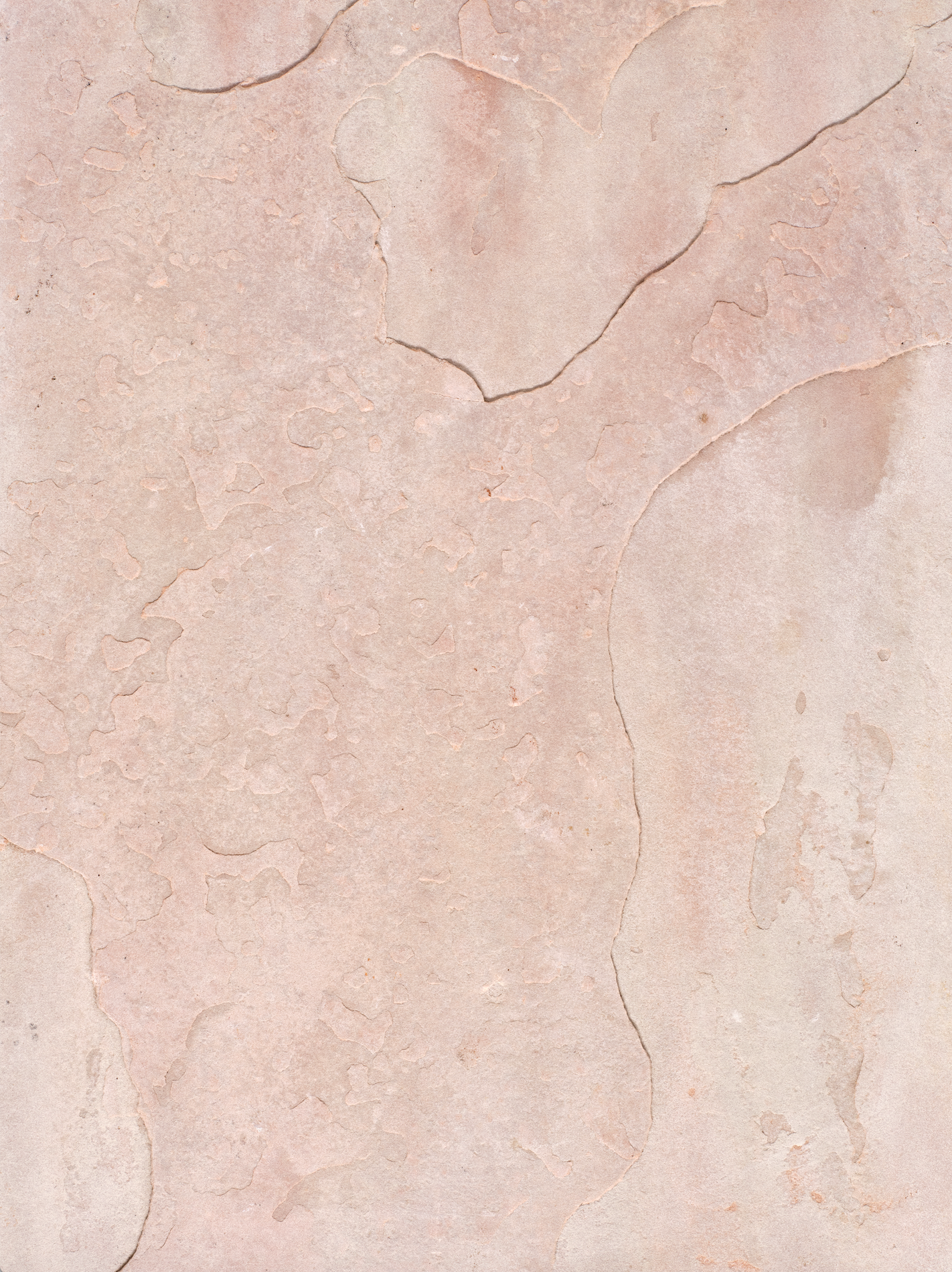 COSITA x surfacehaus Vinyl-Hintergrund – Wiese