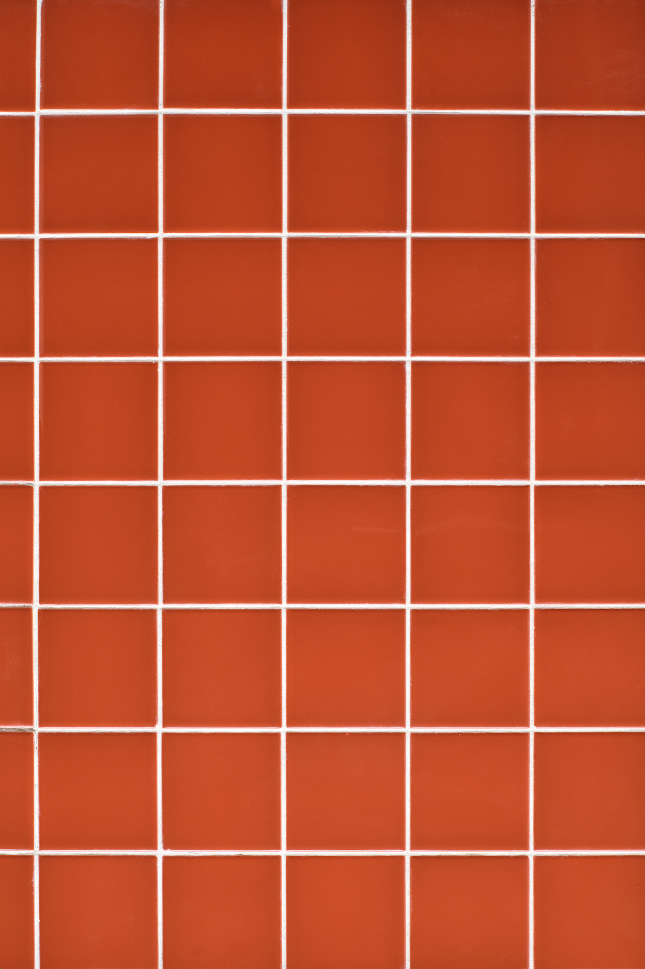 COSITA x surfacehaus Vinyl-Hintergrund – Wiese