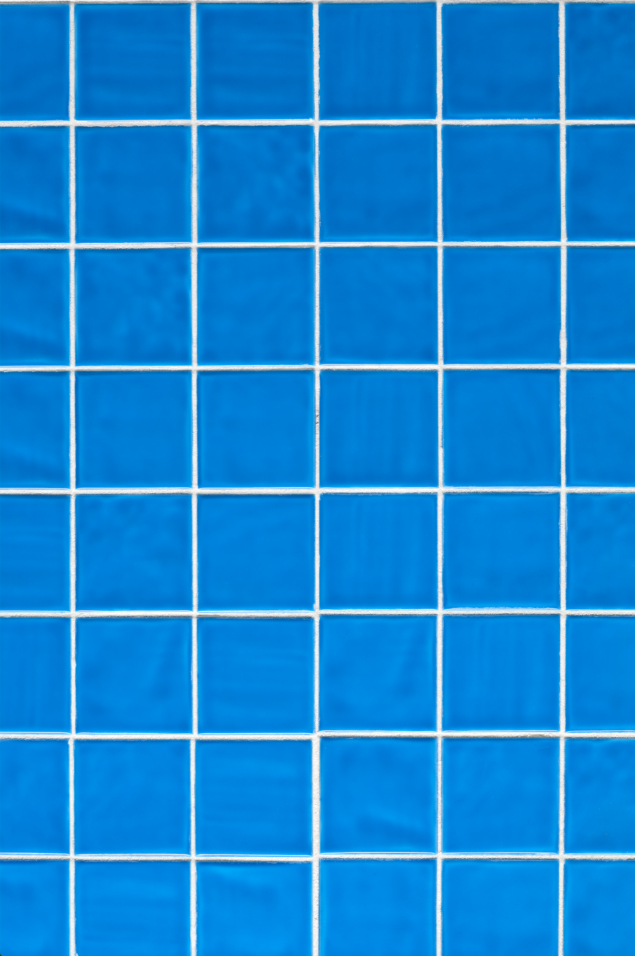 COSITA x surfacehaus Vinyl-Hintergrund – Wiese