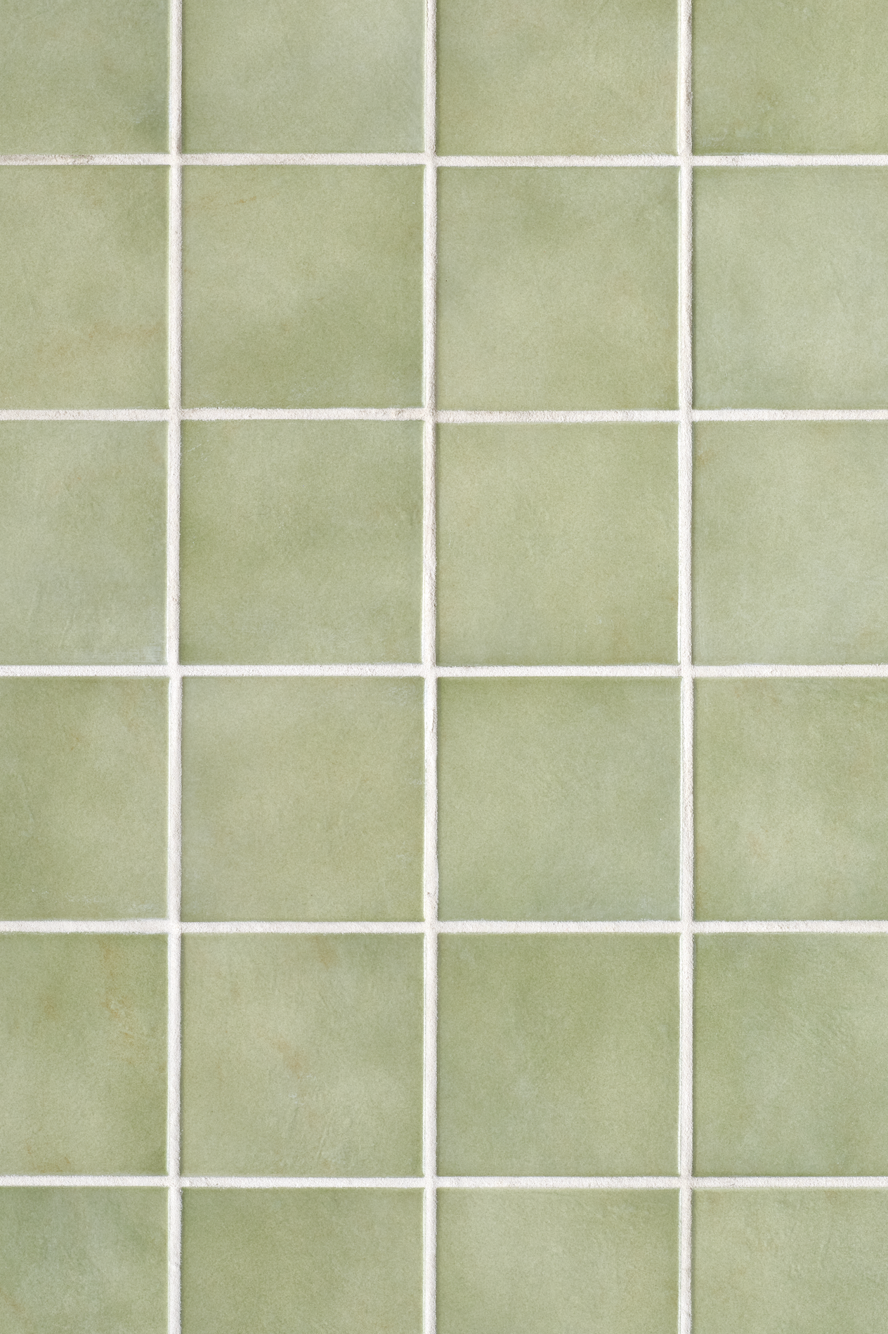 COSITA Vinyl Backdrop - Sage