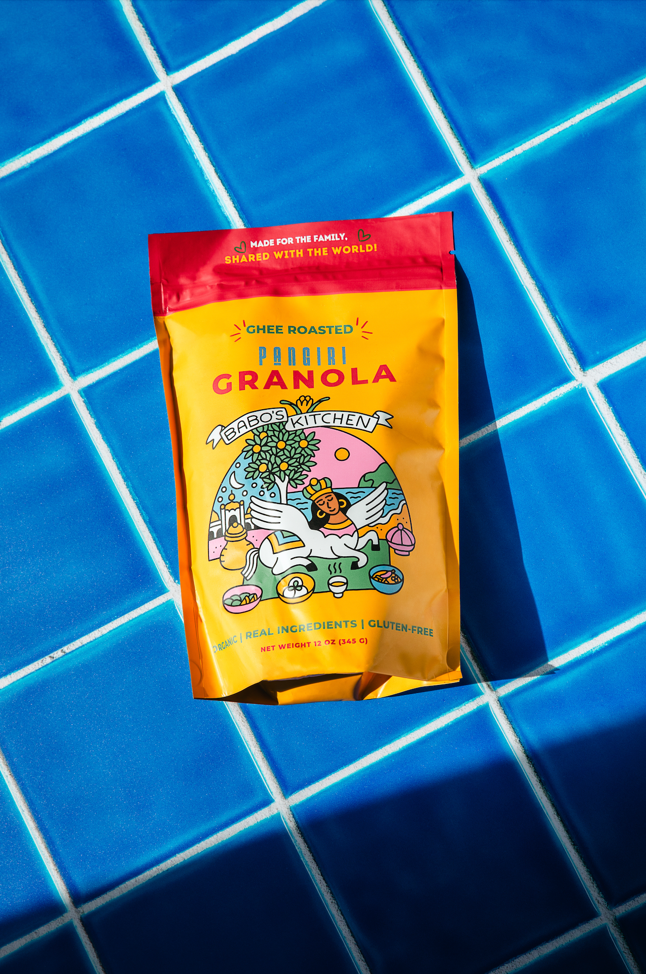 COSITA Vinyl Backdrop - Pool