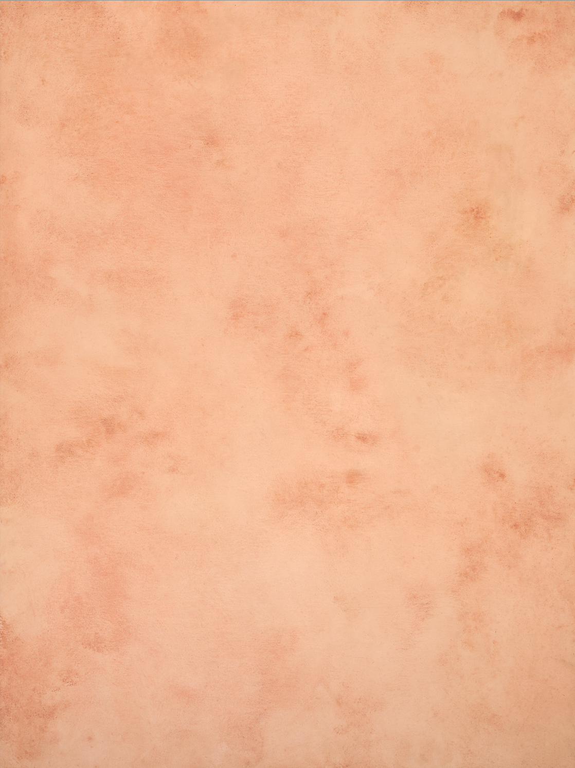 COSITA x surfacehaus Vinyl Backdrop - Meadow