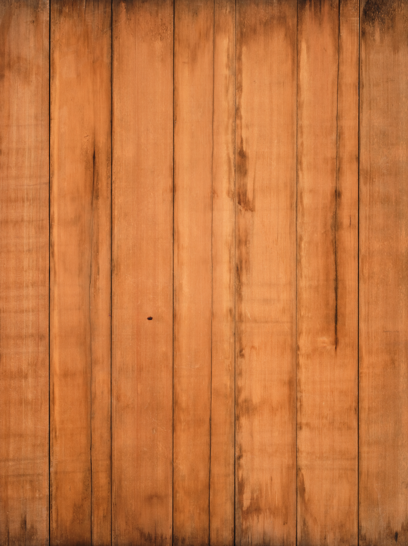 COSITA x surfacehaus Vinyl Backdrop - Carrizo II