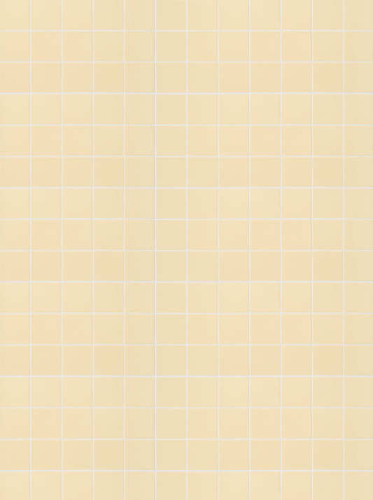 COSITA Vinyl Backdrop - Custard