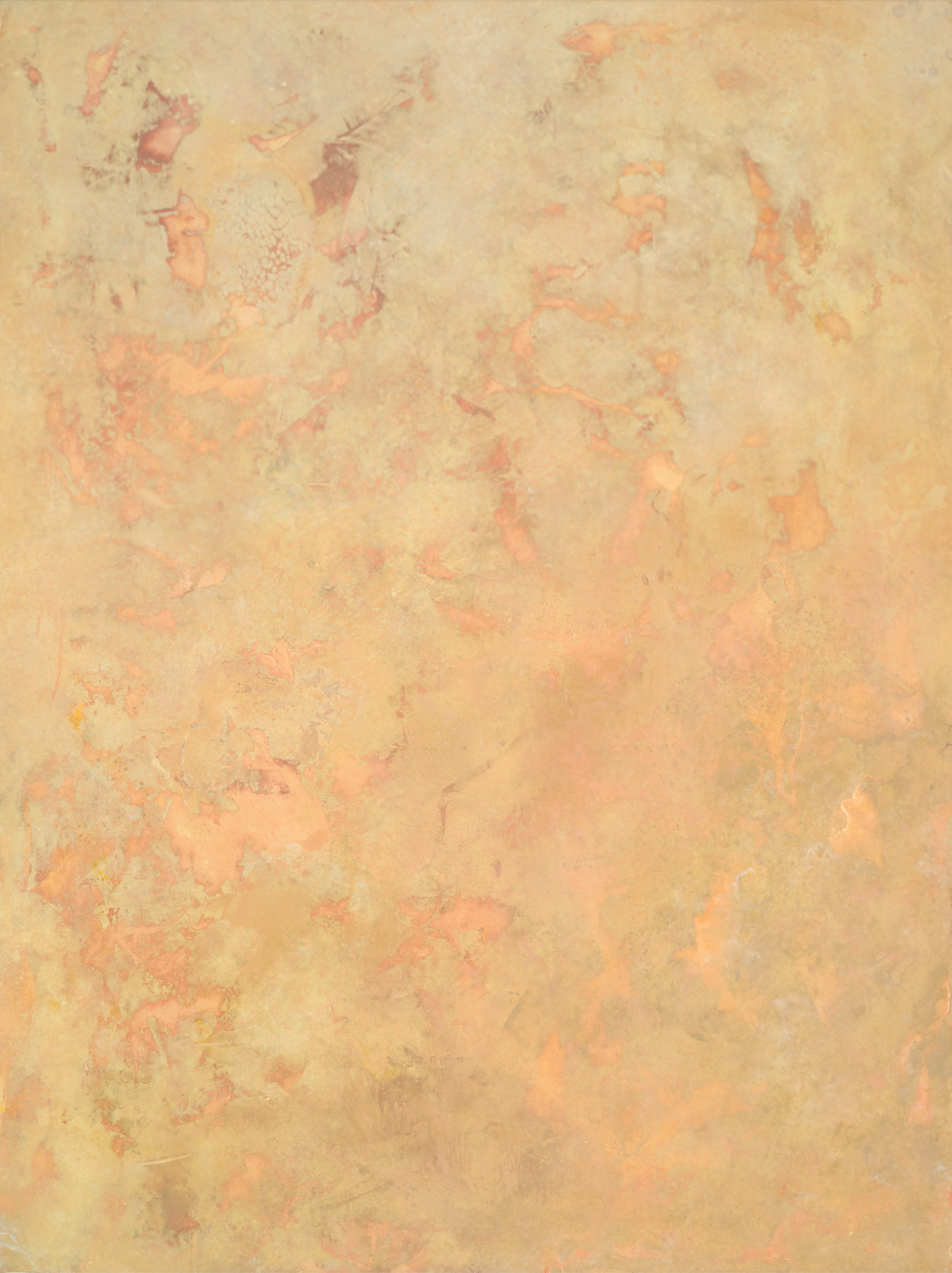 COSITA Vinyl Backdrop - Pompeii