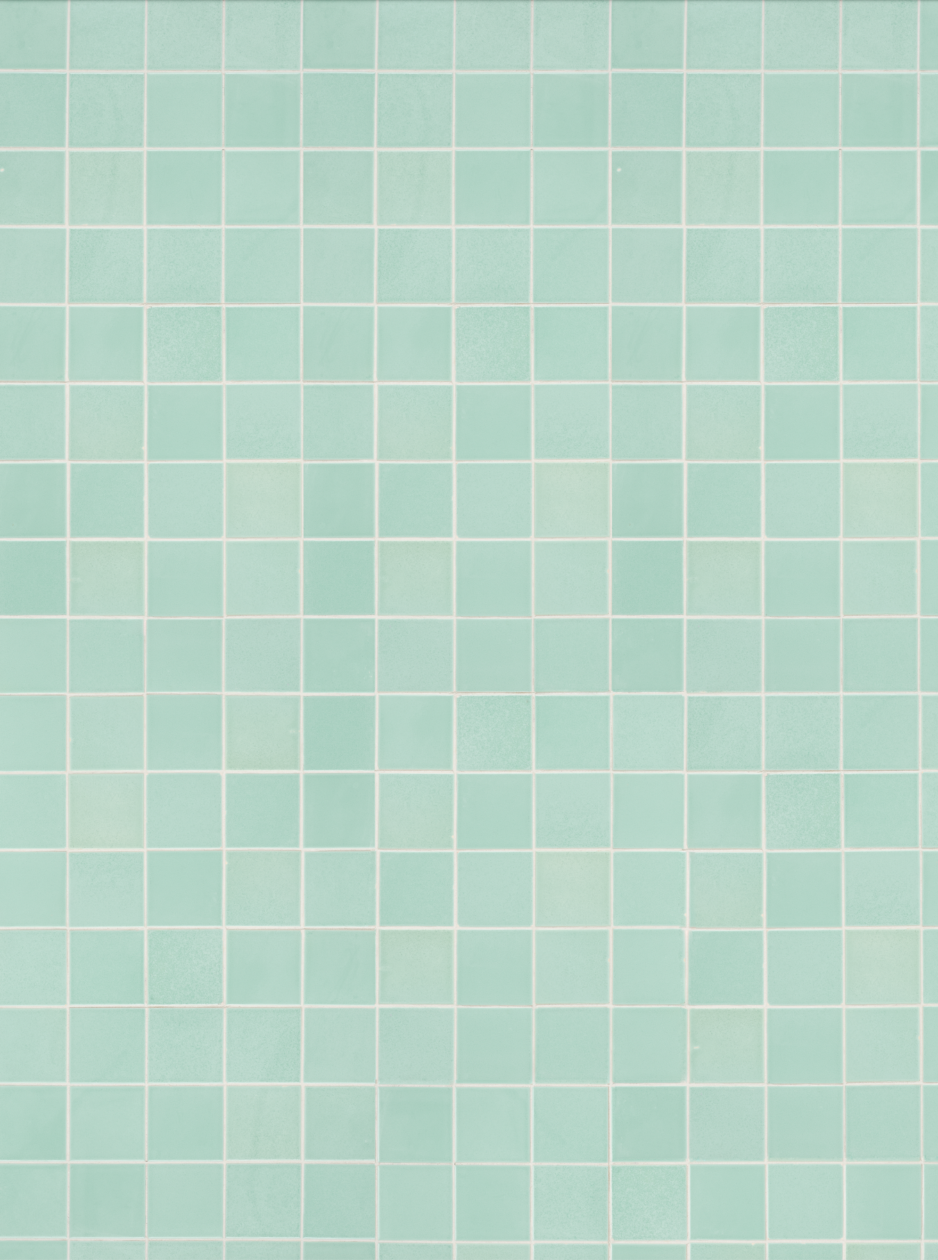 COSITA Vinyl Backdrop - Cabo