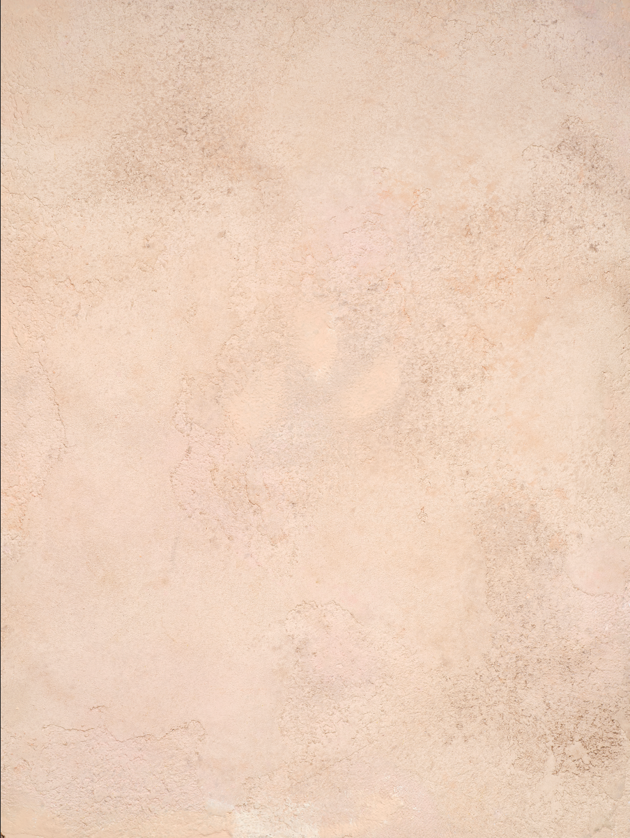 Warm toned white textured plaster surface with subtle brown highlights