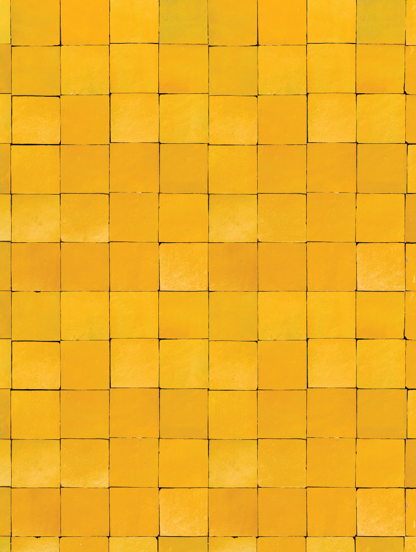 COSITA Vinyl Backdrop - Sunny Side Up