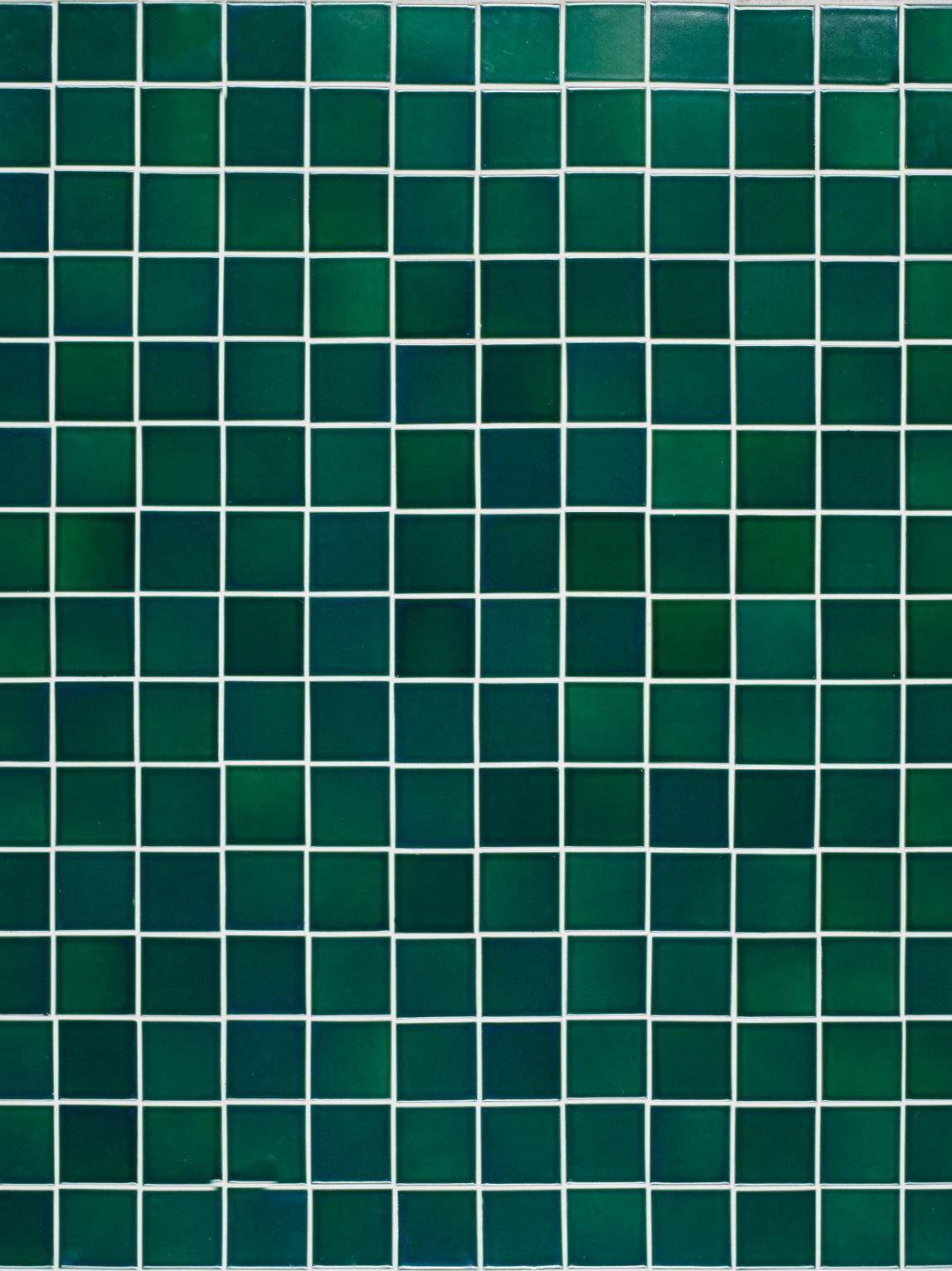 COSITA Vinyl Backdrop - Shamrock