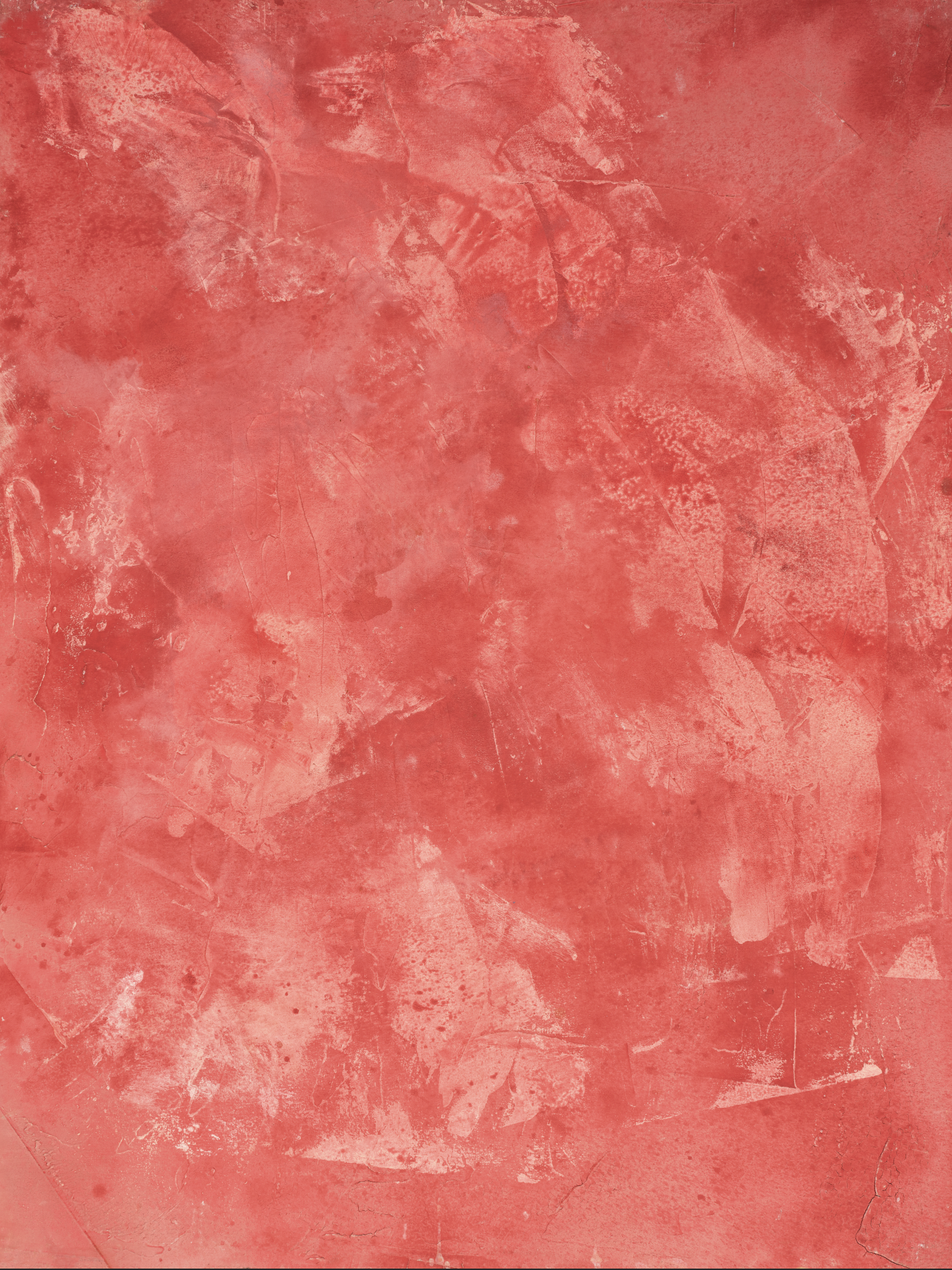 COSITA Vinyl Backdrop - Siren