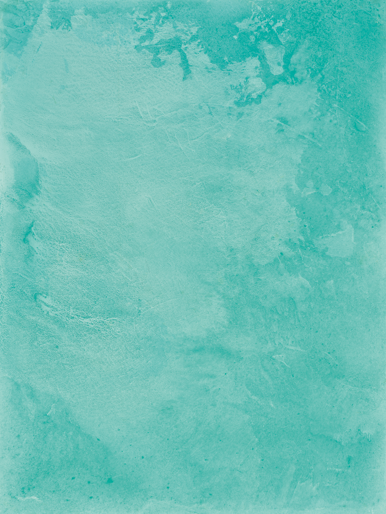 COSITA Vinyl Backdrop - Spring Break