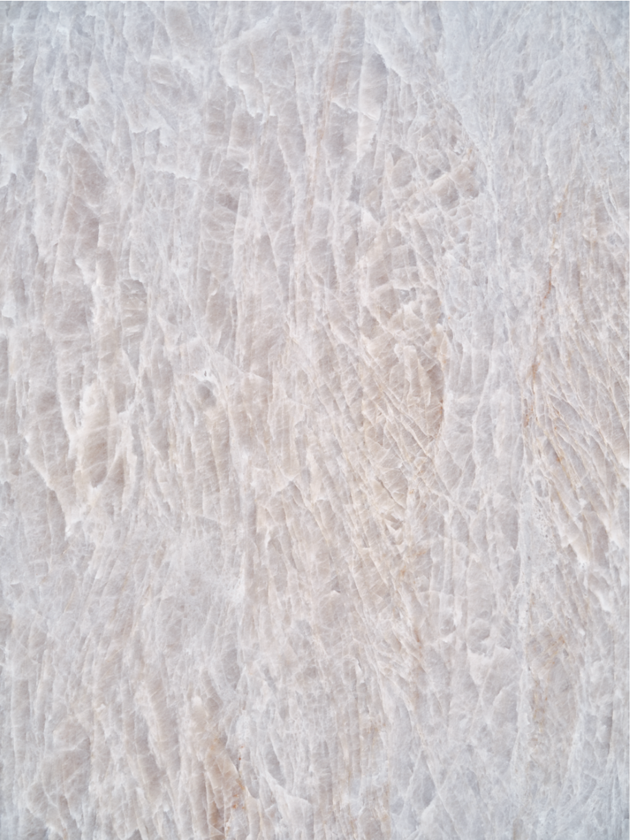 COSITA Vinyl Backdrop - Taj Mahal