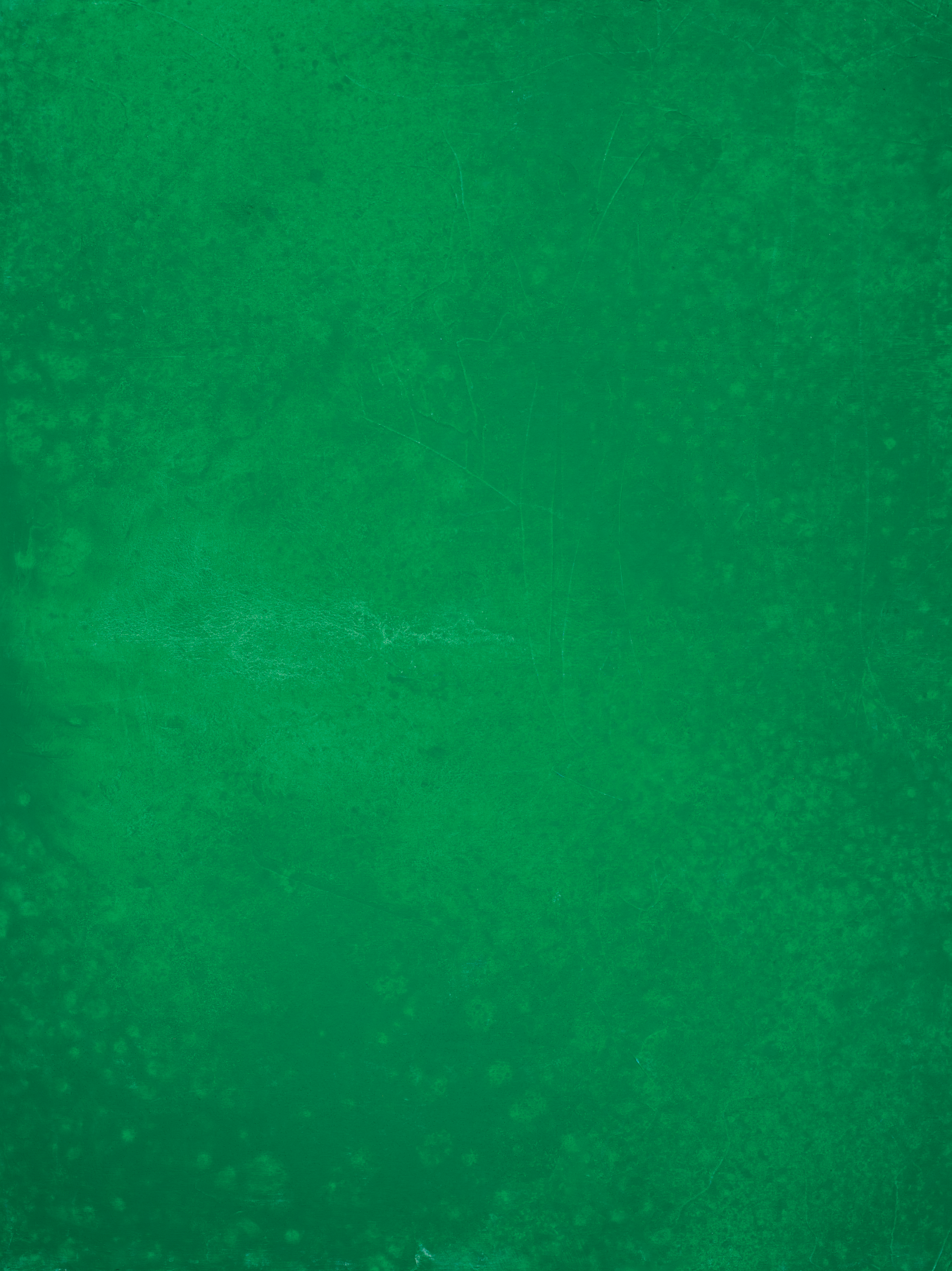 COSITA Vinyl Backdrop - Verde