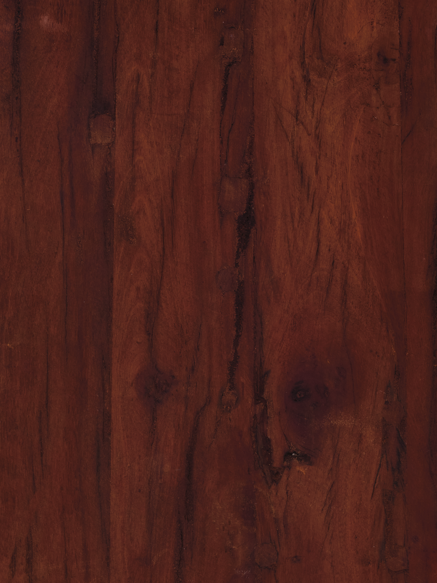 COSITA Vinyl Backdrop - Vienna