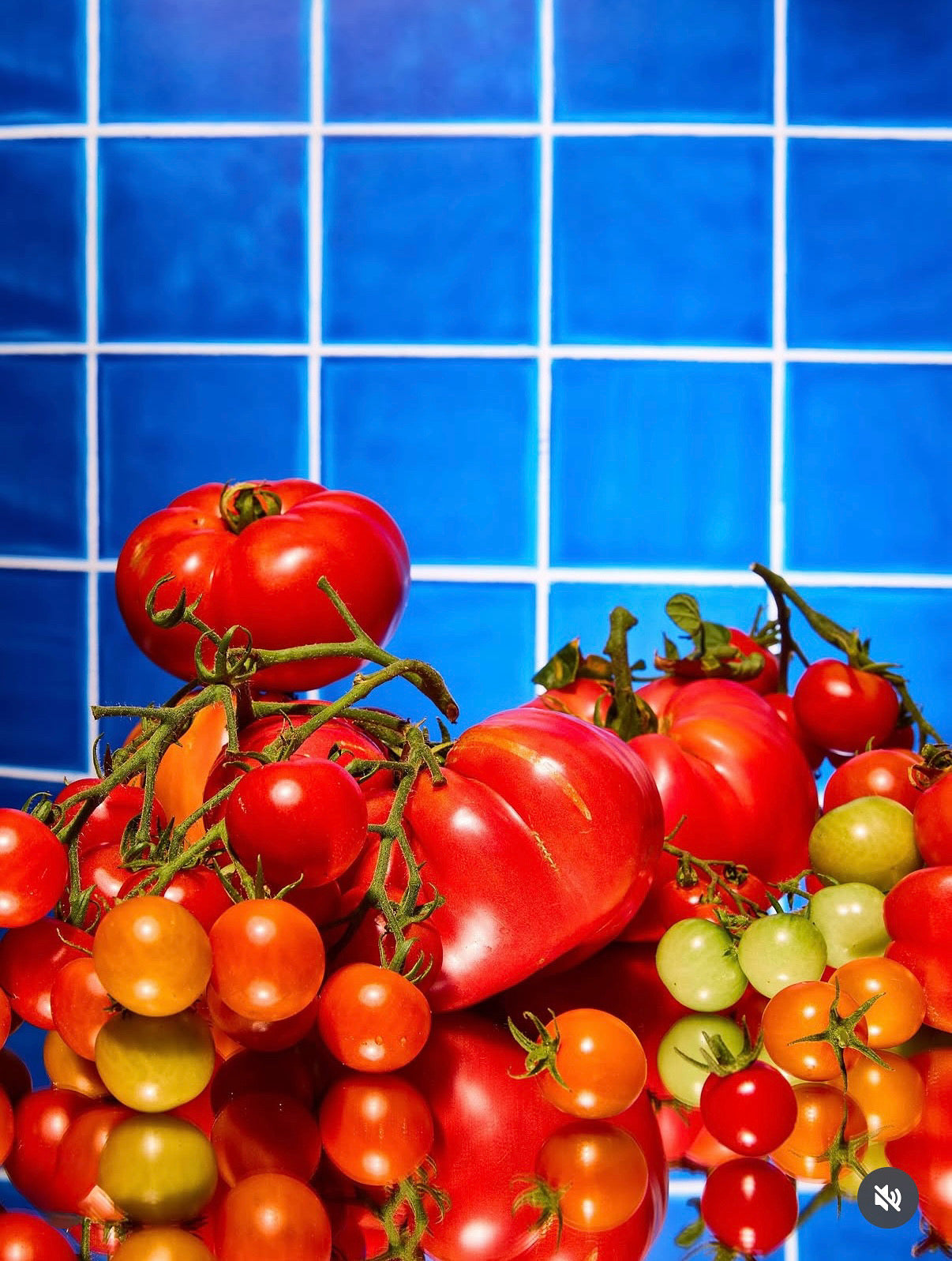 COSITA Vinyl Backdrop - Pool