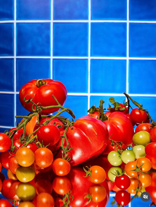 COSITA Vinyl Backdrop - Pool