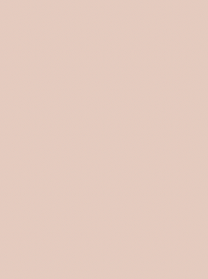 Bloom vinyl backdrop. Vinyl image is solid light warm pink perfect for food, drink, and product photography.