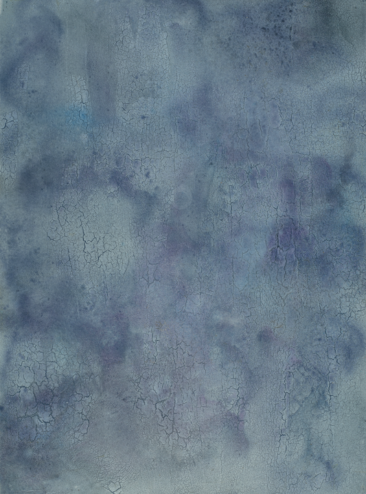 COSITA Vinyl Backdrop -  Blueberry