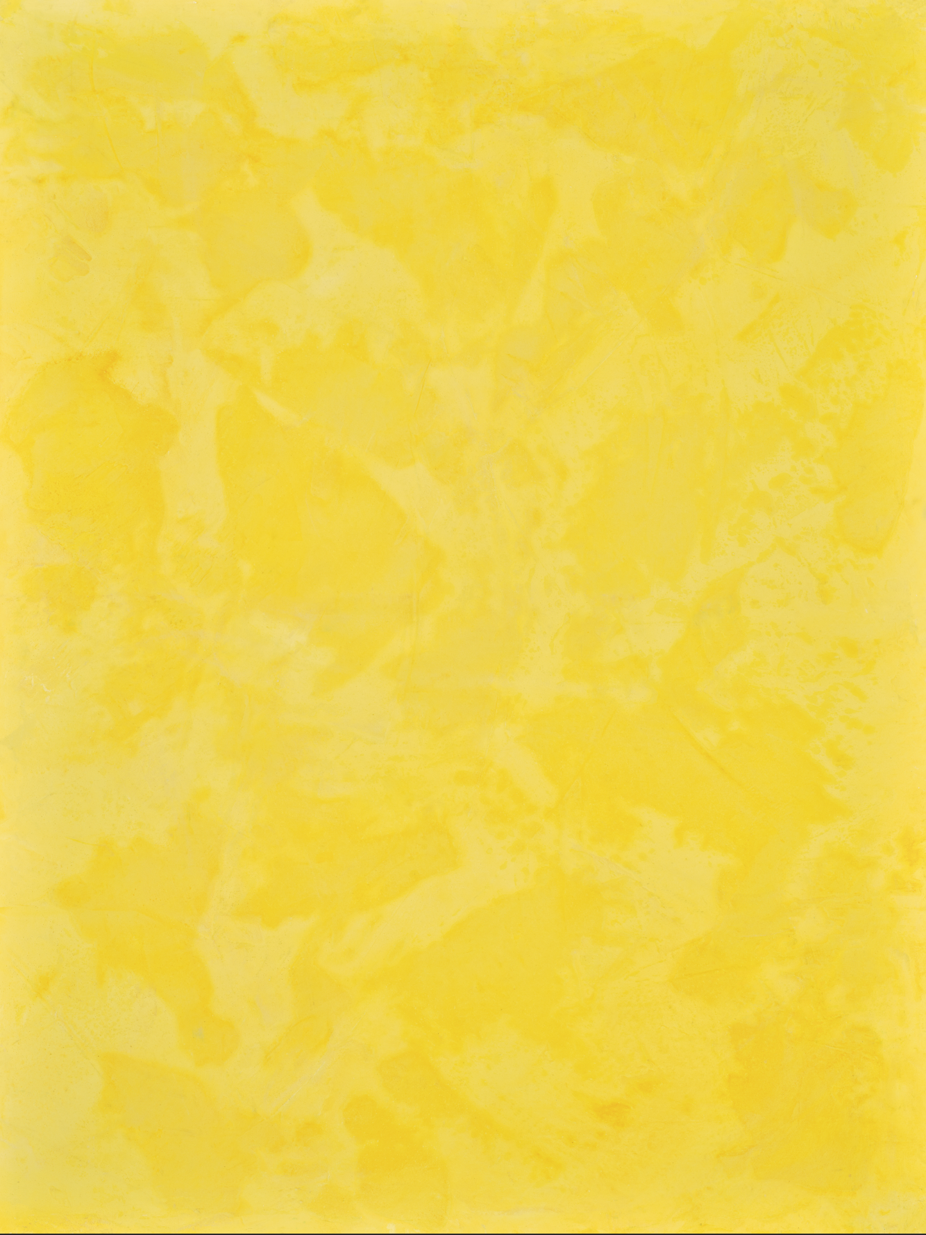 COSITA Vinyl Backdrop -  Butter