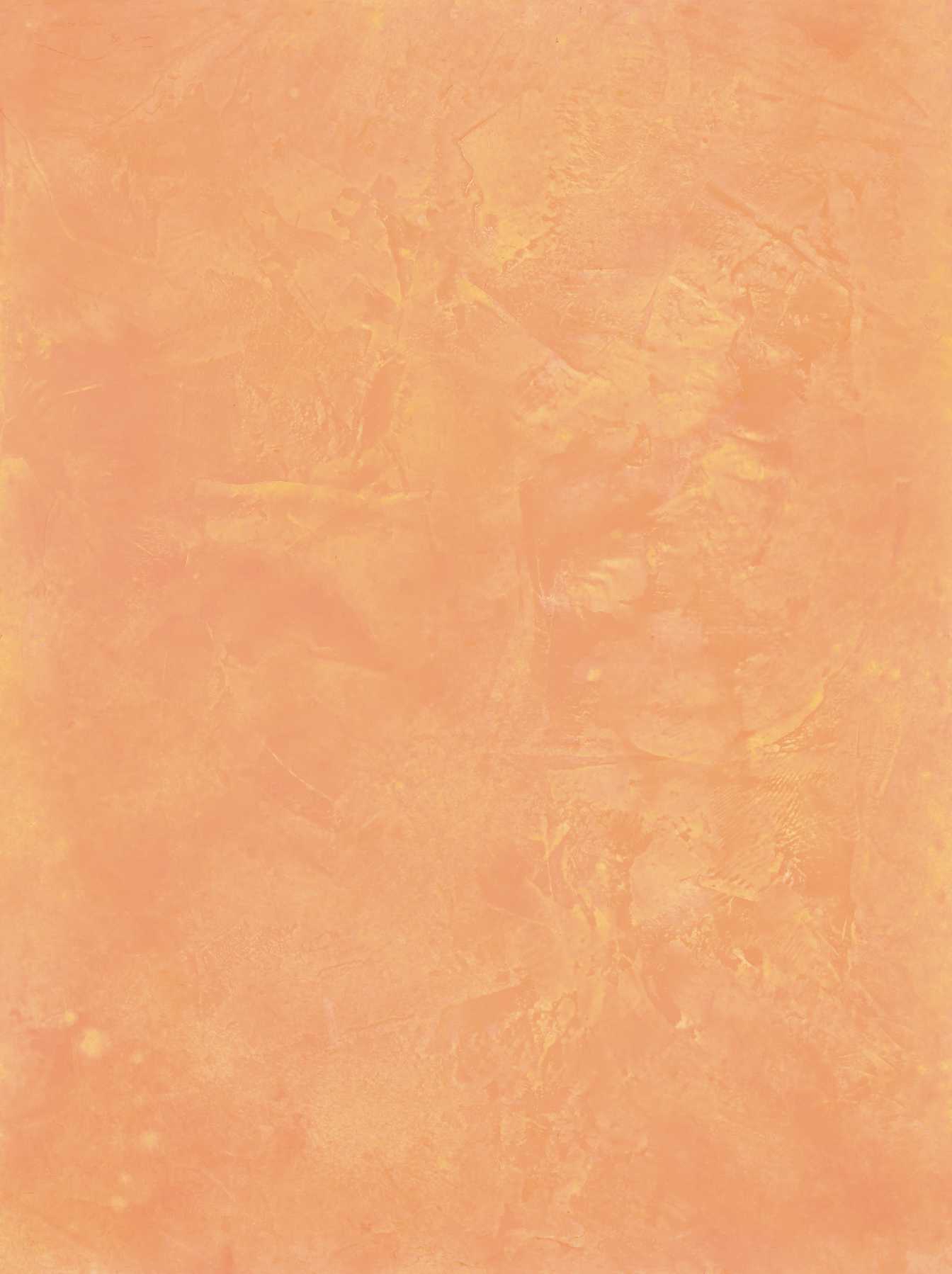 Cantaloupe vinyl backdrop. Vinyl image is of a varied orange and beige textured plaster surface.
