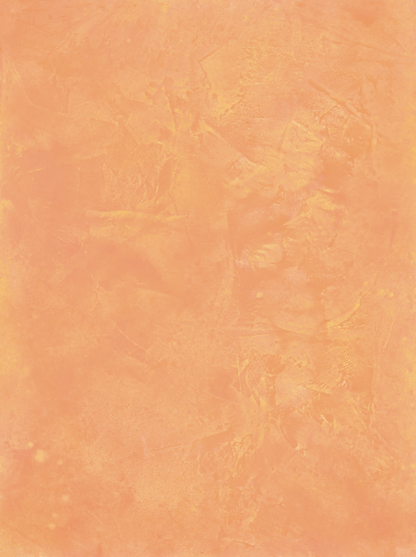 Cantaloupe vinyl backdrop. Vinyl image is of a varied orange and beige textured plaster surface.