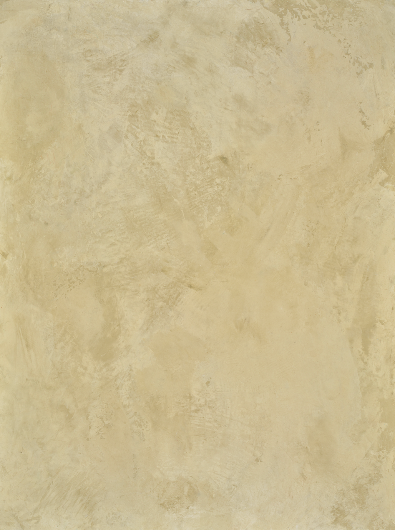 COSITA x Baucke Vinyl Backdrop -  Desert Sage