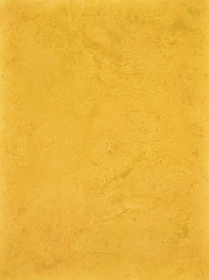 Fondo de vinilo COSITA - Leche Dorada 
