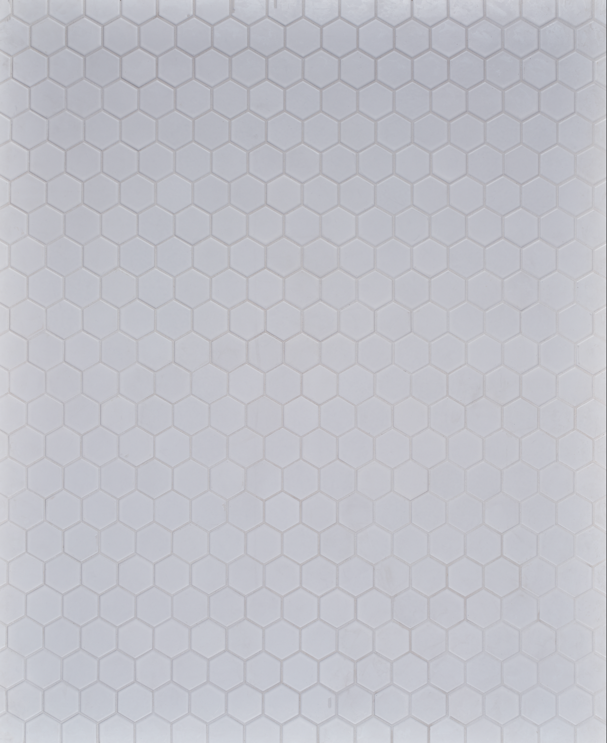 COSITA Vinyl Backdrop -  Hex