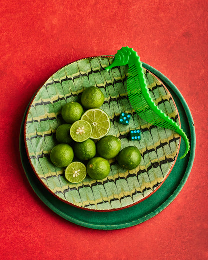 COSITA Vinyl-Hintergrund – Hot Tamale 