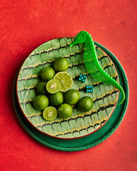 COSITA Vinyl Backdrop -  Hot Tamale