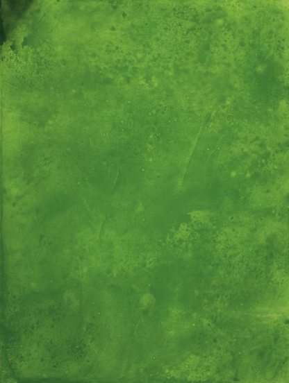 Fondo de vinilo COSITA - Limonada 