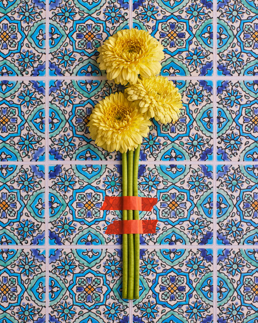 COSITA Vinyl Backdrop - Lisbon