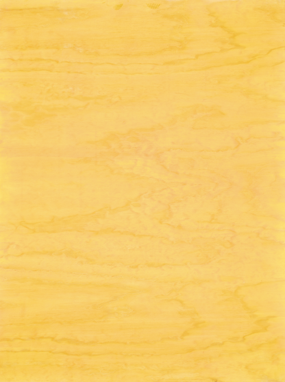 COSITA Vinyl Backdrop -  Marigold Magic