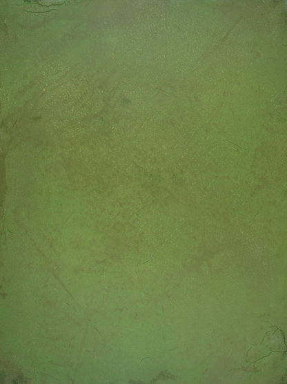 Fondo de vinilo COSITA - Musgo 
