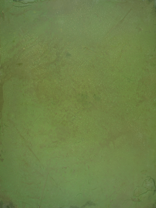 COSITA Vinyl Backdrop -  Moss