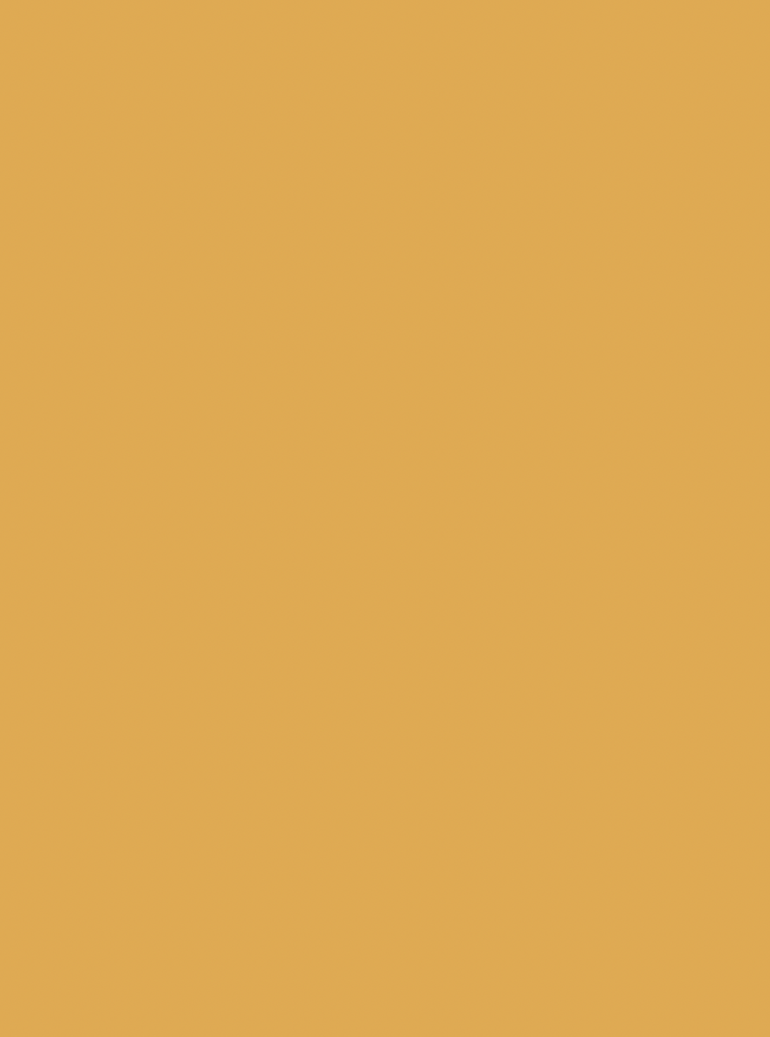 COSITA Vinyl Backdrop -  Mustard