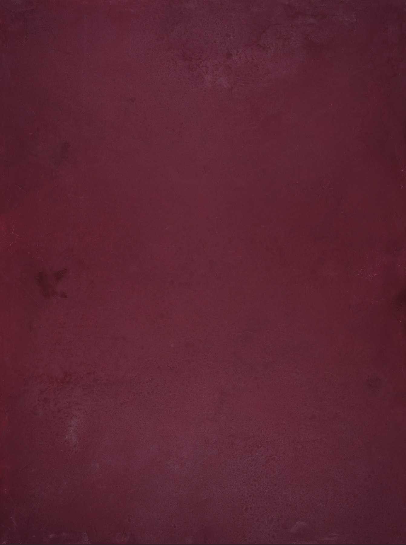 COSITA Vinyl Backdrop -  Plum Wine