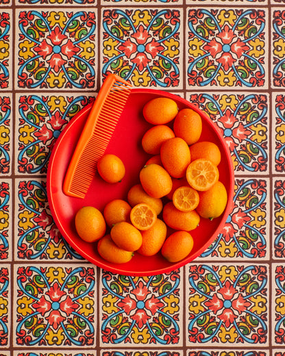 COSITA Vinyl Backdrop - Primavera Brown